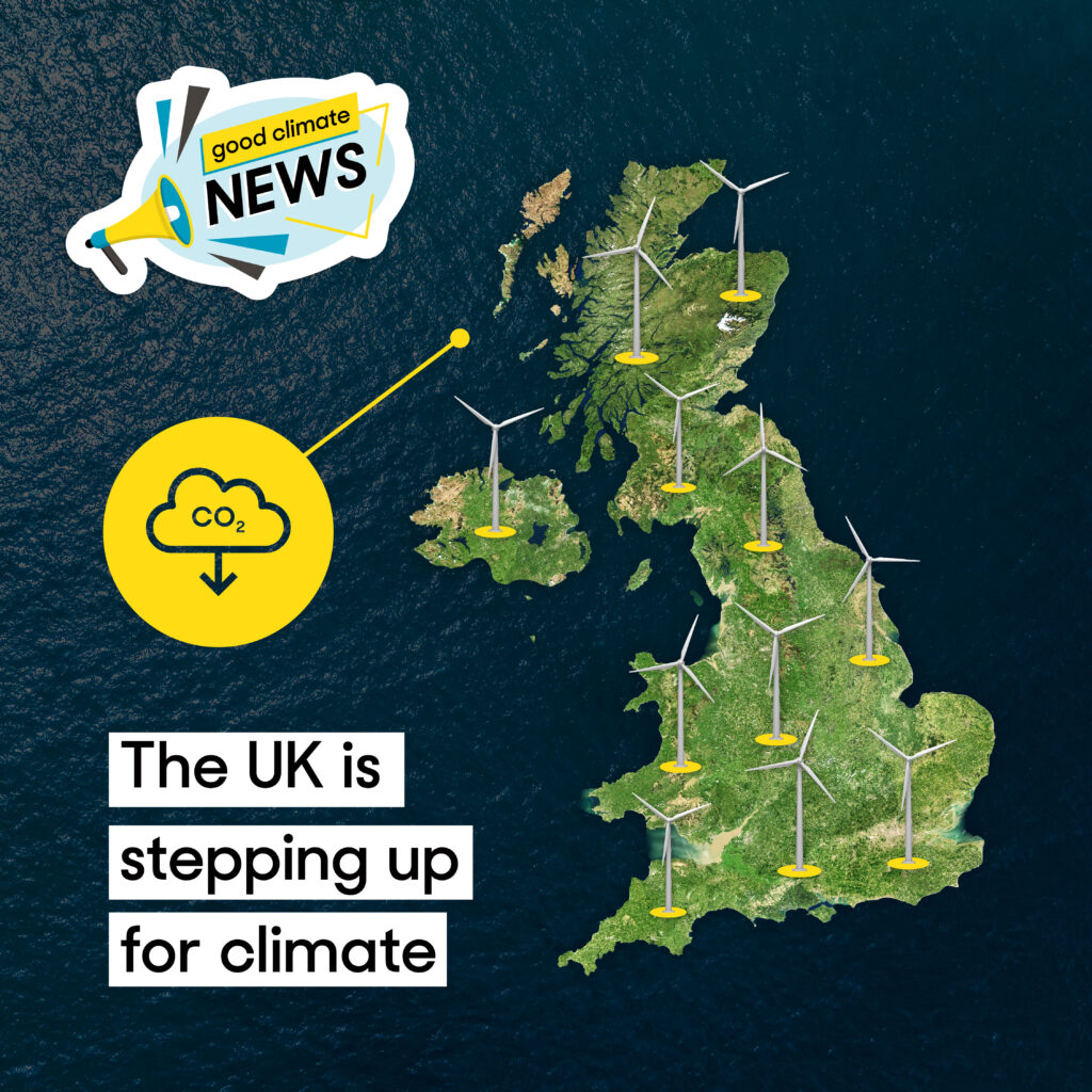 Positive environmental stories and climate news from 2024