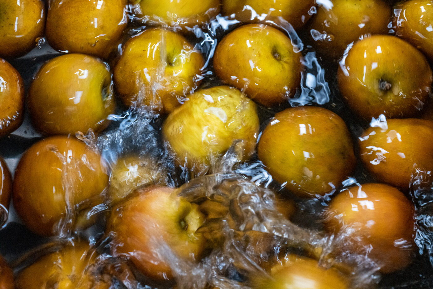 Benefits of solar panels for breweries