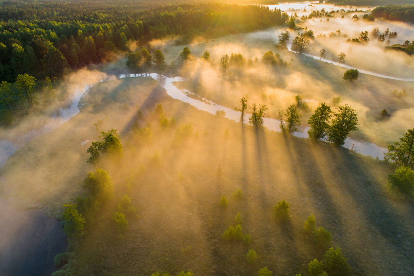 Aerial view of a river winding through a misty forested landscape at sunrise, with sunlight casting long shadows over trees and fields.