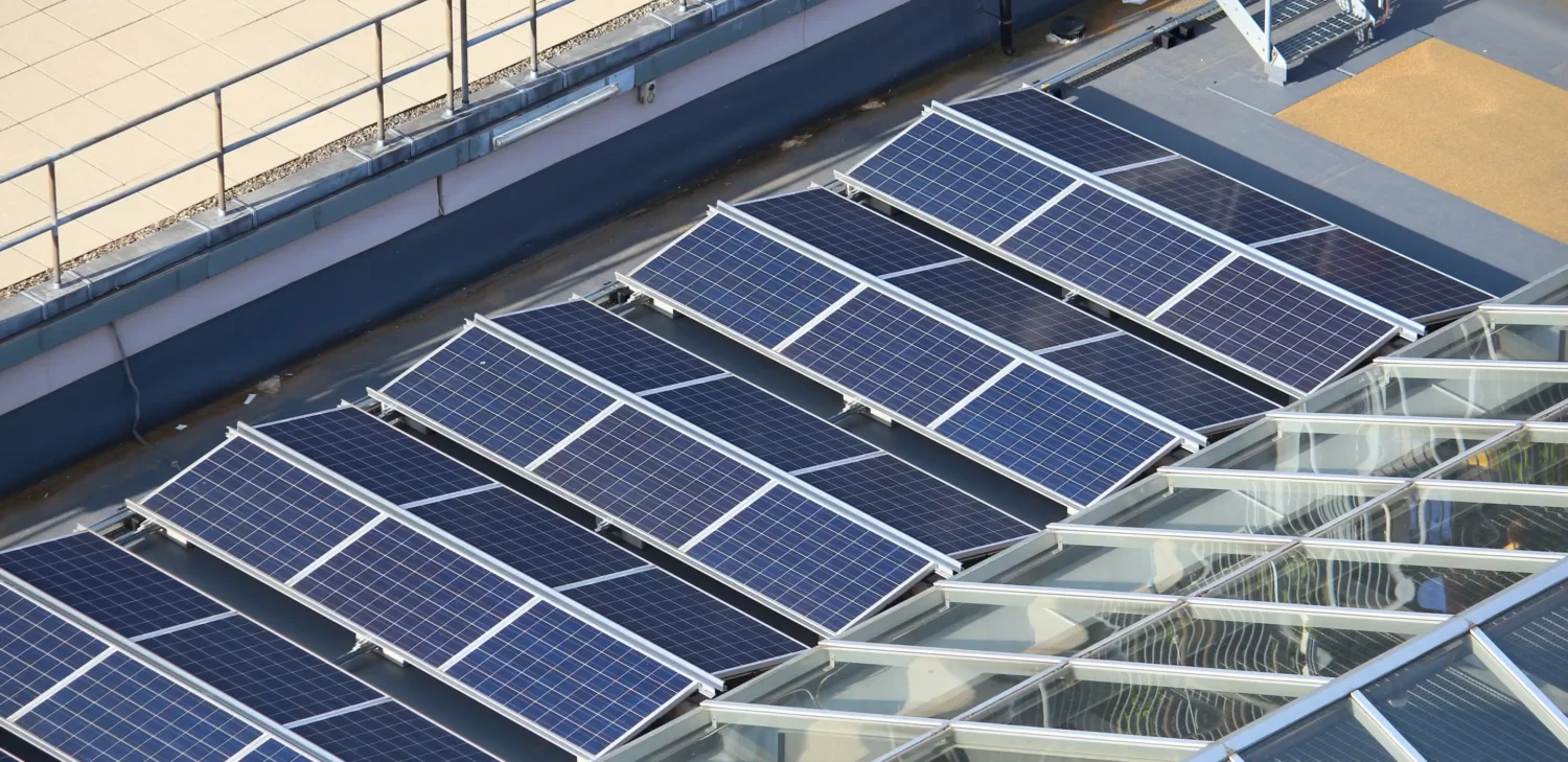 Solar panels for business