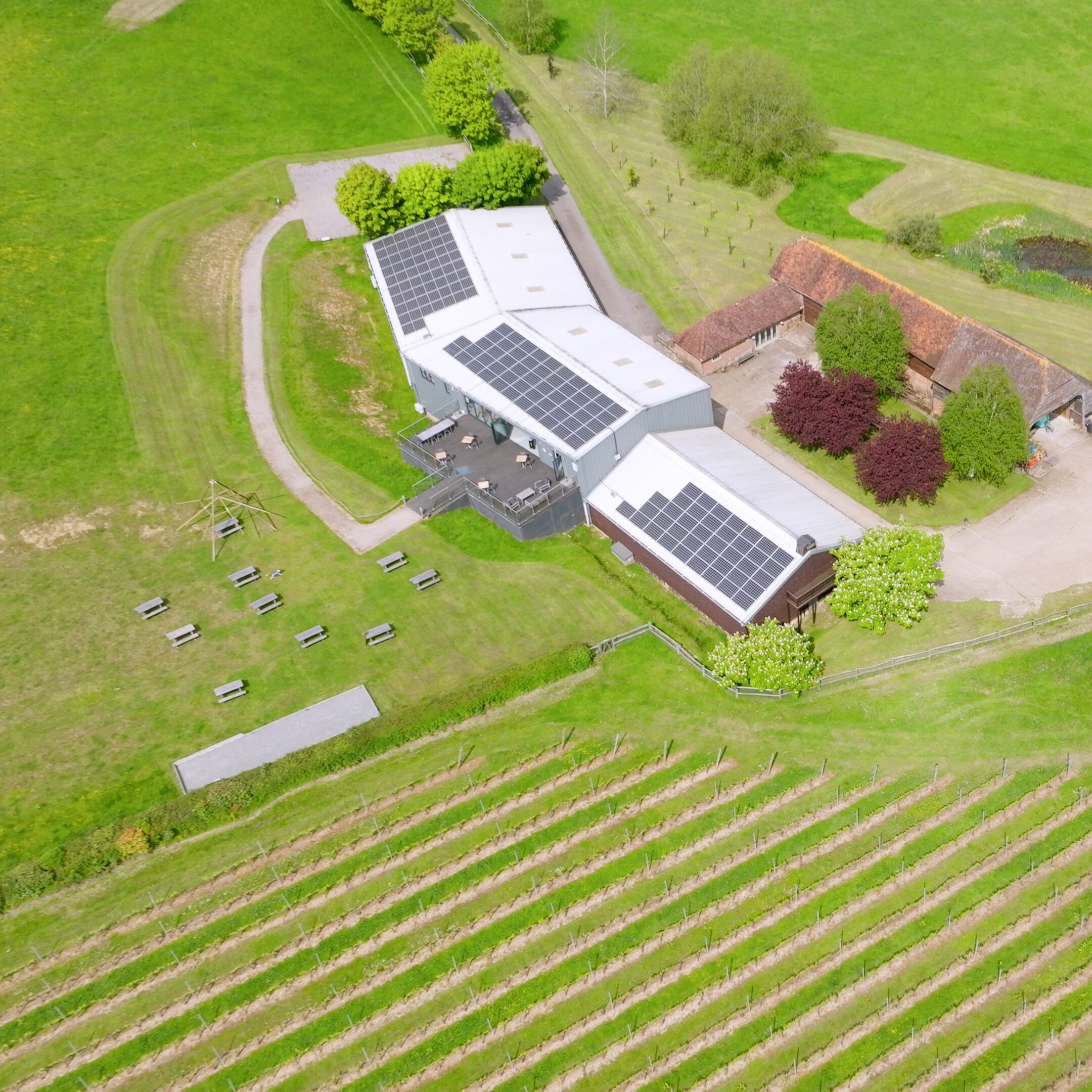 Aerial view of a rural property with solar panels on roofs, multiple buildings, a small pond, parked cars, and rows of crops in a vineyard.