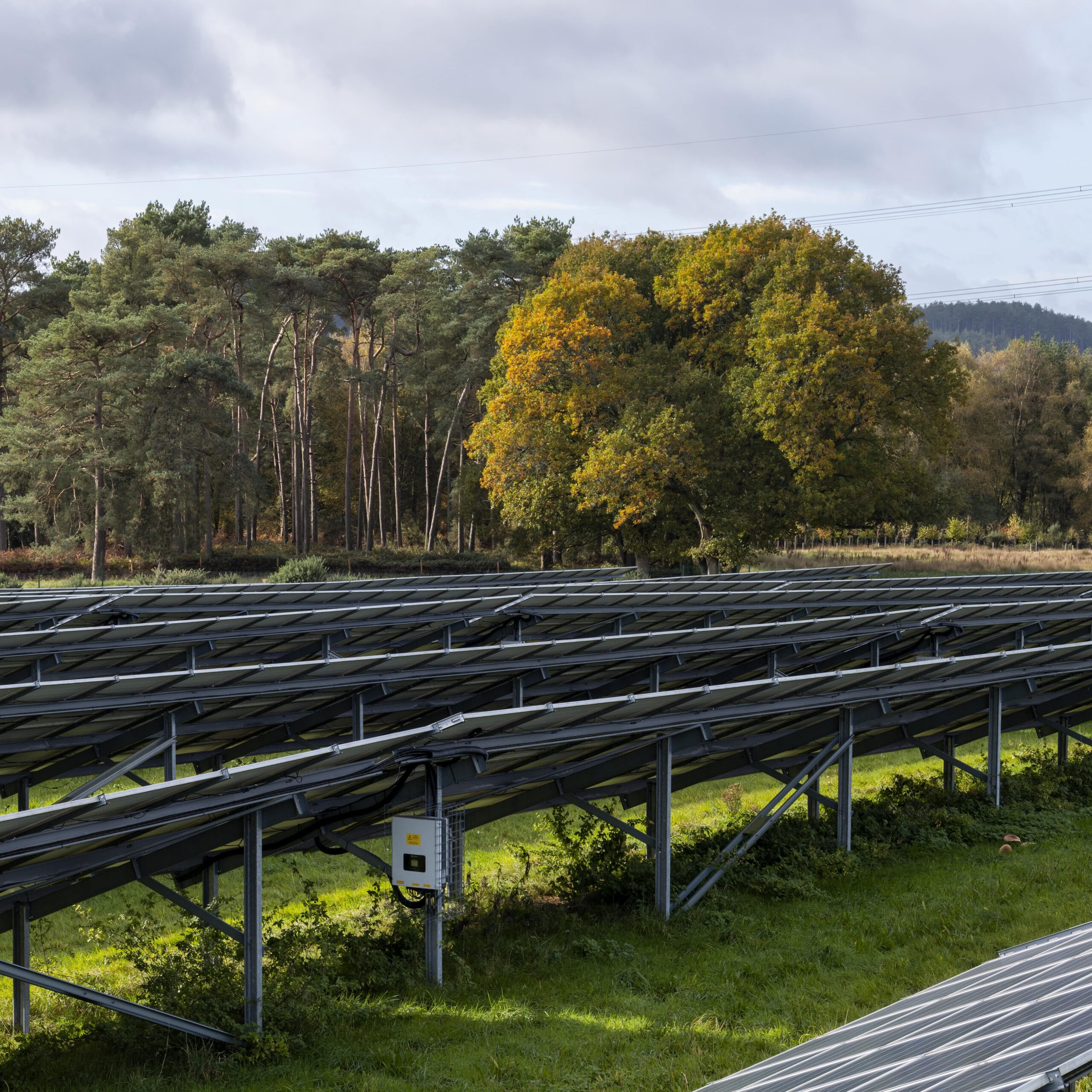 Rows of solar panels installed on a grassy field with a forest of tall trees in the background under a cloudy sky.