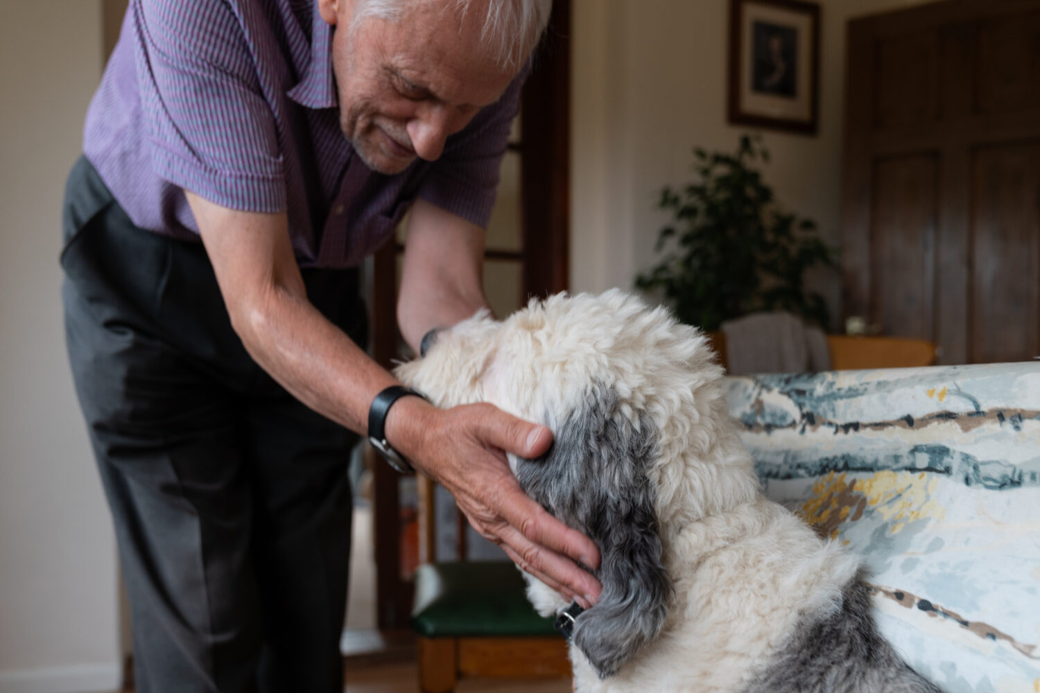 Man with dog in home
