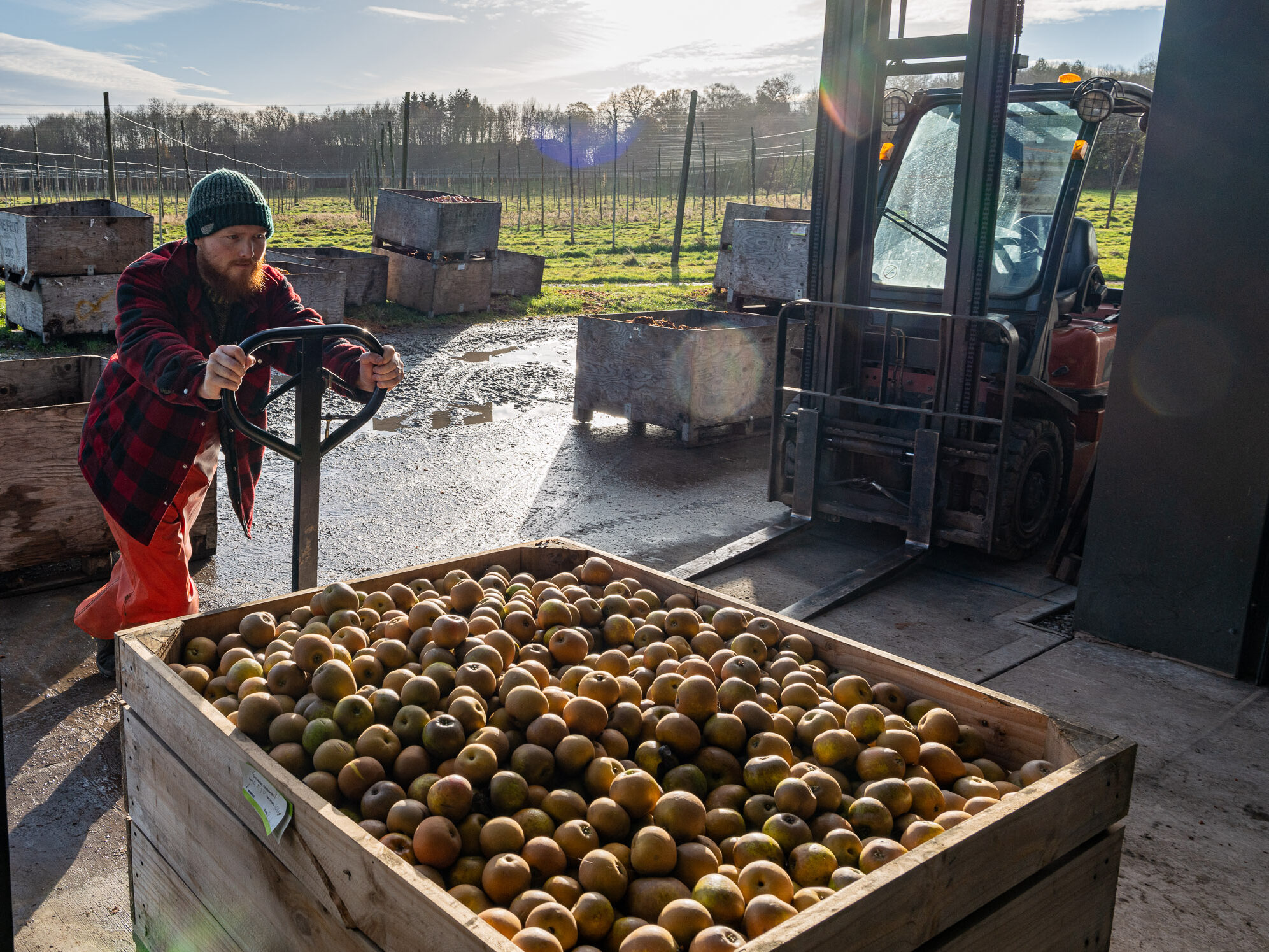 Is renewable energy for breweries worth it
