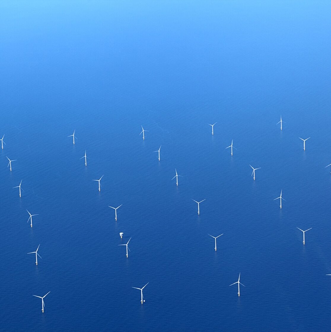offshore wind farm wind turbines