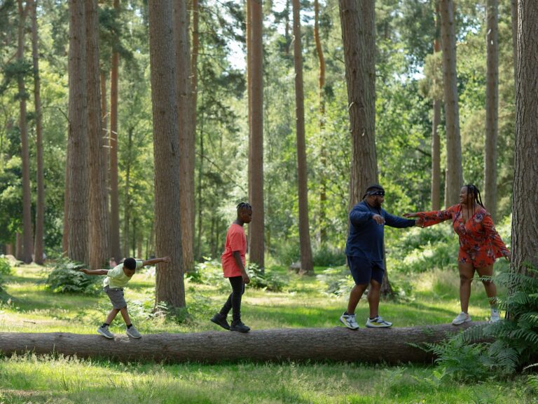 Four people walk along a fallen tree trunk in a forest, with tall trees and green foliage surrounding them on a sunny day.